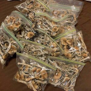 Magic Mushroom for sale